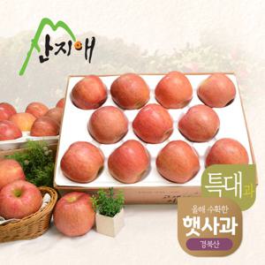 [햇사과] 산지애 알뜰 못난이사과(특대과) 4kg 2box