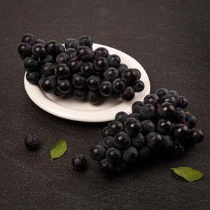 캠벨포도 1kg 로얄사이즈 3~4수