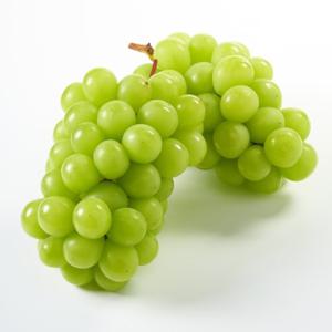 [산정마을] 고당도 프리미엄 제철 망고포도 샤인머스켓 2kg(특/3-4과)