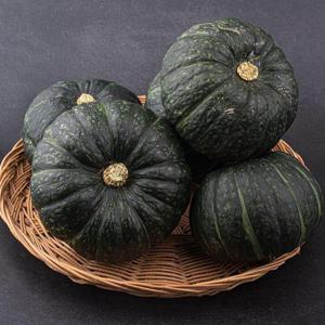 갤러리아_제주 미니 밤단호박 9kg [랜덤/못난이]