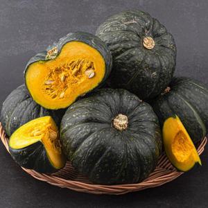 제주 미니밤[단]호박못난이 [랜덤과수] 2.5kg