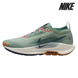 나이키 운동화 /K3- FQ0908-300 / 남성 페가수스 트레일 5 GORE-TEX 워터프루프 러닝화