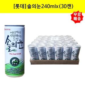 [롯데]솔의눈240ml x(30캔) 음료수 전통음료