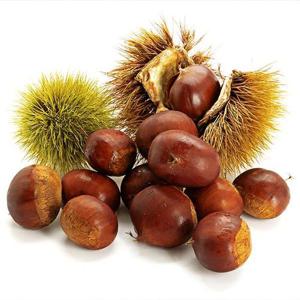 부여 햇 밤 중크기 5kg