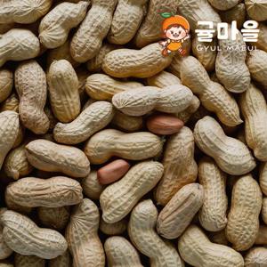 귤마을 국내산 햇 땅콩 1kg