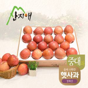 [햇사과] 산지애 알뜰 못난이사과(중대과) 4.5kg 1box