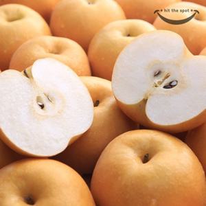25년 햇 못난이 나주배 5kg(350-800g/6-15입)