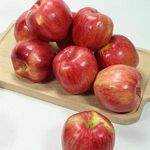 [농부마음]홍로 정품 햇사과 3kg 10-13과