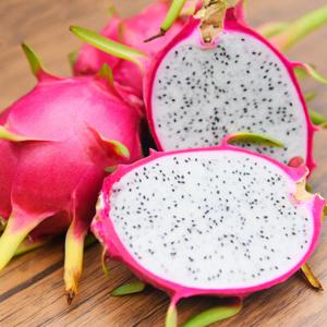 베트남 용과 3과(500g내외) 특대과 1.5kg