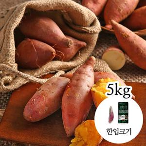 [감동 고구마] 세척 꿀고구마 5kg 한입크기