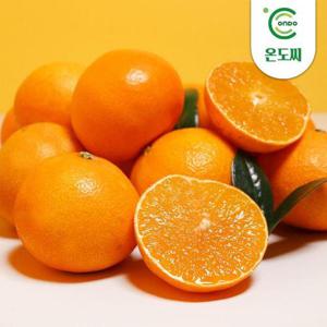 갤러리아_[온도씨]제주 고당도 황금향 4.5kg (중과/18-23과)