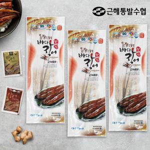 [근해통발수협] 프리미엄 자연산 바다장어 260g(5미) x 2팩 / 소스(매운맛2,순한맛2)