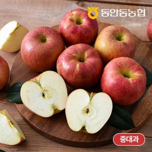 [중대과 홍로] 25년 햇 농협 정품 사과 5kg (23과내)