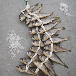 [영광수협] 법성포 영광굴비 선물세트 40미(총2.6kg/엮걸이)