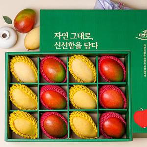 [보자기동봉] 정성 혼합1호 (애플망고6/골드망고6) 과일 선물세트