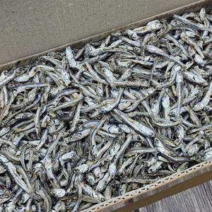 국내산 고바 중바 중멸치 고주바 멸치 1.5kg