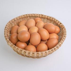 [맛딜] 난각번호1번 유정란 자연방사 계란 40구