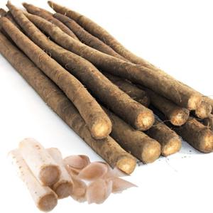 [산정마을]국내산 생 우엉(특품) 2kg