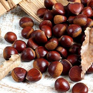 칼집밤(군밤용) 3kg