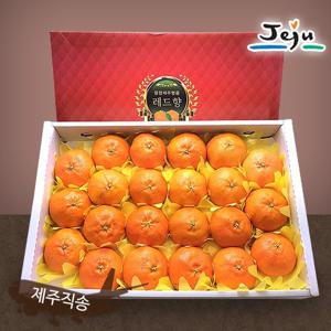 [올찬농산] 레드향 선물세트(대/중) 3kg(14~19과) / 제주직송 !!