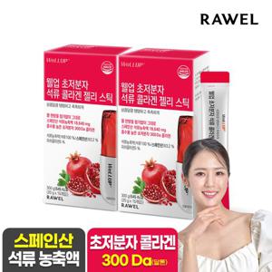 로엘 웰업 초저분자 석류콜라겐젤리스틱 2박스 300달톤