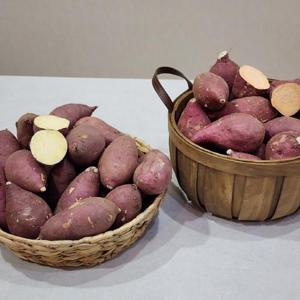 국내산 고당도 호박고구마 한입 5kg