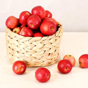 [잇츠프레쉬] 고당도 루비에스 미니사과 2kg(40g이하/중)