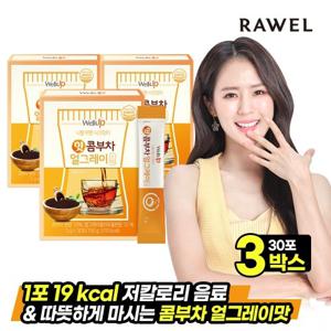 로엘 웰업 핫콤부차 얼그레이 3박스, (5g x 30포)