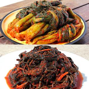 [여수찬] 산지직송 알싸한 돌산 갓김치1kg+고들빼기1kg