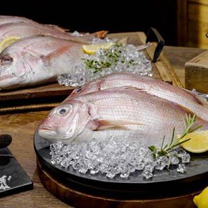 국내산 손질참돔 400g x 7팩(팩당1미)