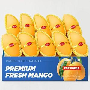 갤러리아_[수플린] 항공직송 고당도 태국골드망고 4kg (로얄과/8~14입)