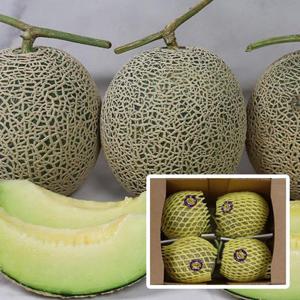 국내산 고당도 멜론 머스크메론 8kg (3-4수)