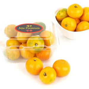 [농협공판장] 정성드린 제주 하우스감귤 500g(9~11입)x4팩