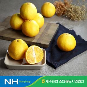 [제주농협] 제주 귤로장생 황금향 4kg(21입~31입)