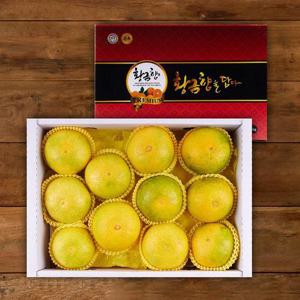 갤러리아_[맛딜] 제주 황금향 선물세트 3kg (8-12과)