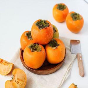 갤러리아_경남 진영 산지발송 부유단감 중 5kg/30과내외
