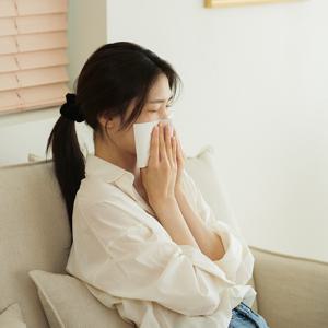 디어커스 뱀부500 화장지 3겹 30롤
