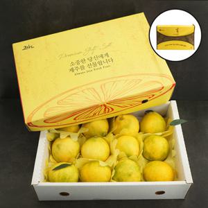 [자연품애]제주 황금향 선물세트 실중량 4.5kg 20과내외