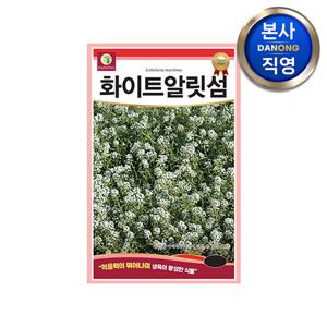 화이트알릿섬 씨앗 200립 . 알리섬 흰색 야생화 꽃 화단 조경 텃밭 꽃씨 종자.