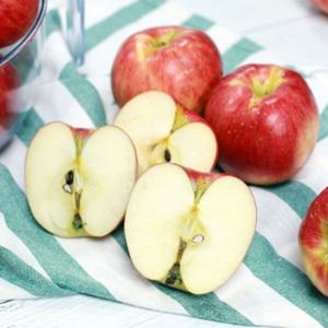 [산지직송] 경북 안동 홍로 햇사과 가정용 2kg 3kg 5kg