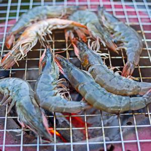 [APP전용] 제철 활새우 1kg 23~26미