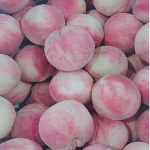 [초특가] 산지직송 딱딱이 딱복 복숭아 2kg 5kg 10kg