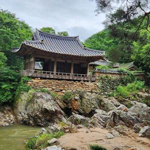[당일여행] 경북나드리 예천, 문화와 관광의 아름다운 조화 (회룡포,초간정,용문사)