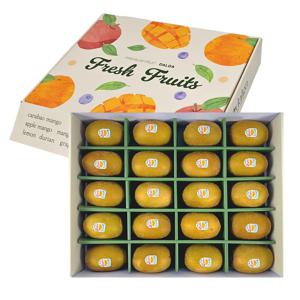 제스프리 썬 골드키위 특대과/점보과 20입 선물세트