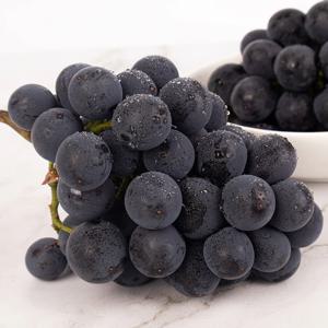 하우스 거봉 1kg 2~3수