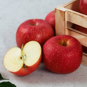 오늘아침사과 국내산 알뜰사과 2kg 8-12과