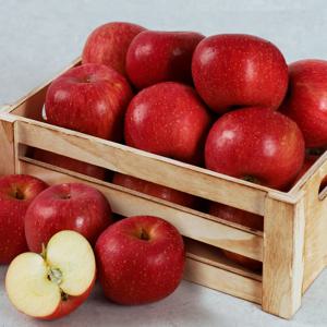 오늘아침사과 국내산 꿀맛사과 3kg 17과