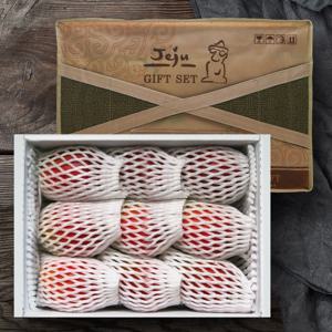 제주 애플망고 9~10과(대) 선물세트 3kg/제주직송