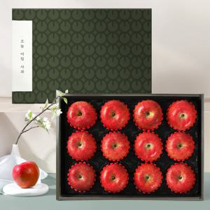 국내산 오늘아침사과 선물세트 1호 (4.5kg 12과)