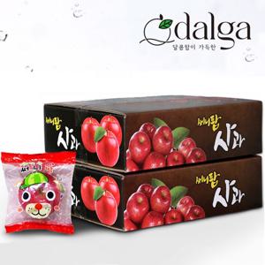 경북 고당도 세척 홍로사과 (정품) 2kg 3kg